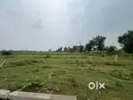 Main highway property