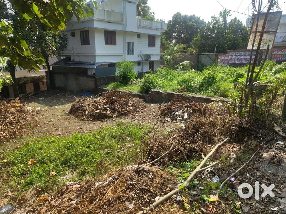 Plot of Sale near thrikkakara model Eng college