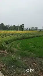Selling this land someone is interested then contact