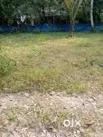 10cents house plot for sale