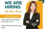 This is sales executive job