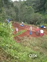Prime 80-Cent Land in Kulamavu, Idukki