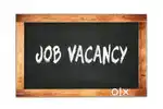 Office Assistant (HR) Wanted