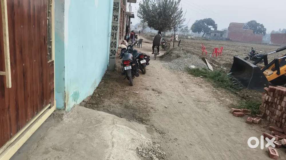 50 100 75 200 gej mei plot bikau hay