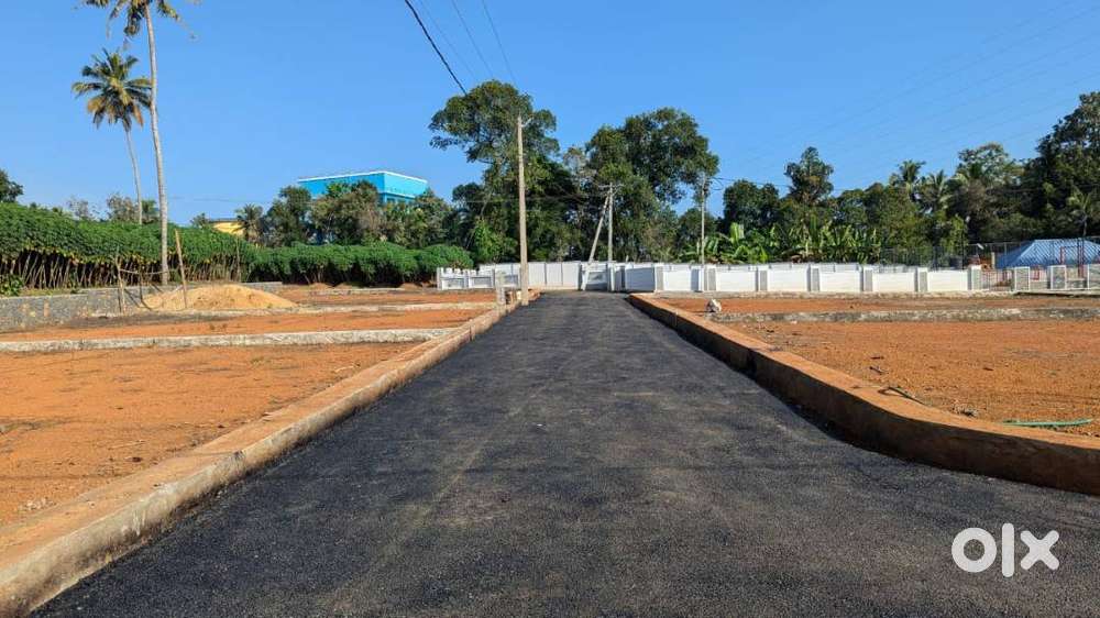 Koratty near Infopark & Kinfra Premium villa plots,Best investment