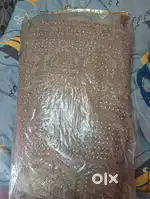 Bridal Lehenga pista color