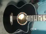 New kadance guitar