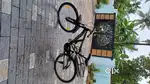 Cycle for Sale