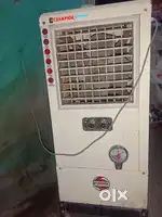 New champion cooler 8 month old