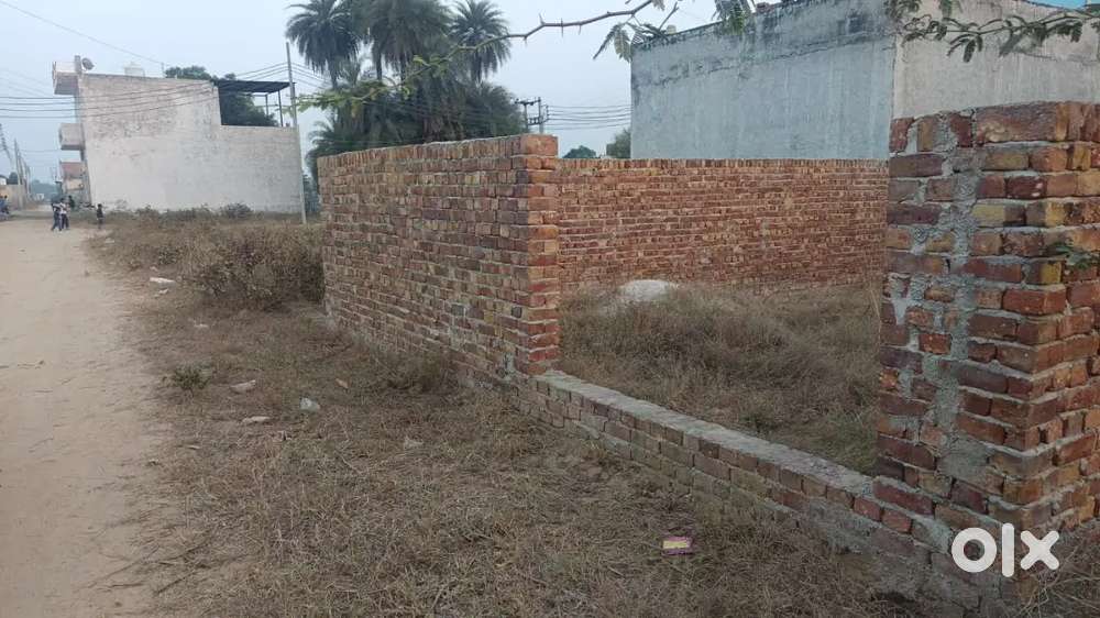 Khajur colony Farukhnagar gurgaon haryana.