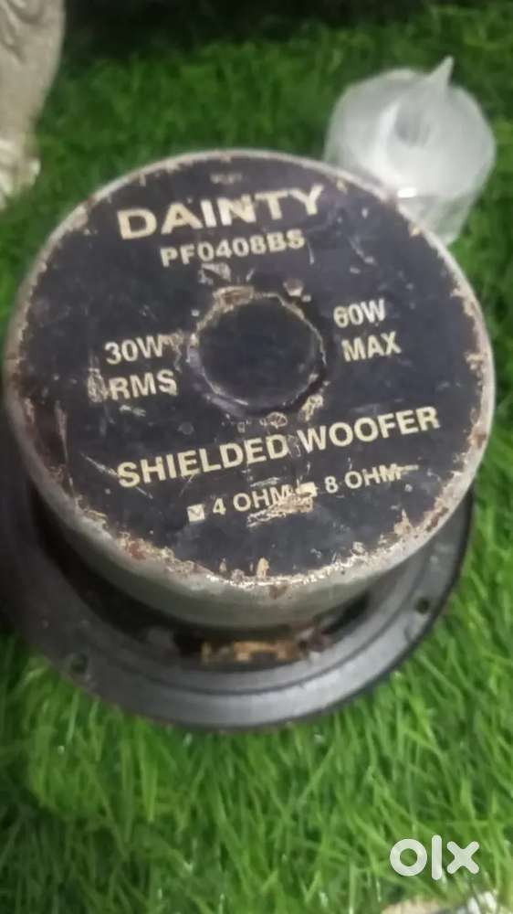 Dainty  4 inches heavy magnet woofers  60.whats 2no