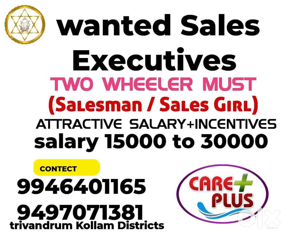 Sales executive
