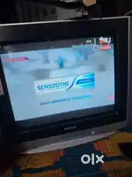 Samsung 21 flat TV