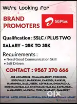 Brand Promoter
