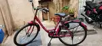 Lady bird with pink colour in good condition