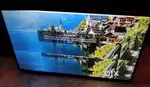 LG 43 inch 4k TV **Display issue**