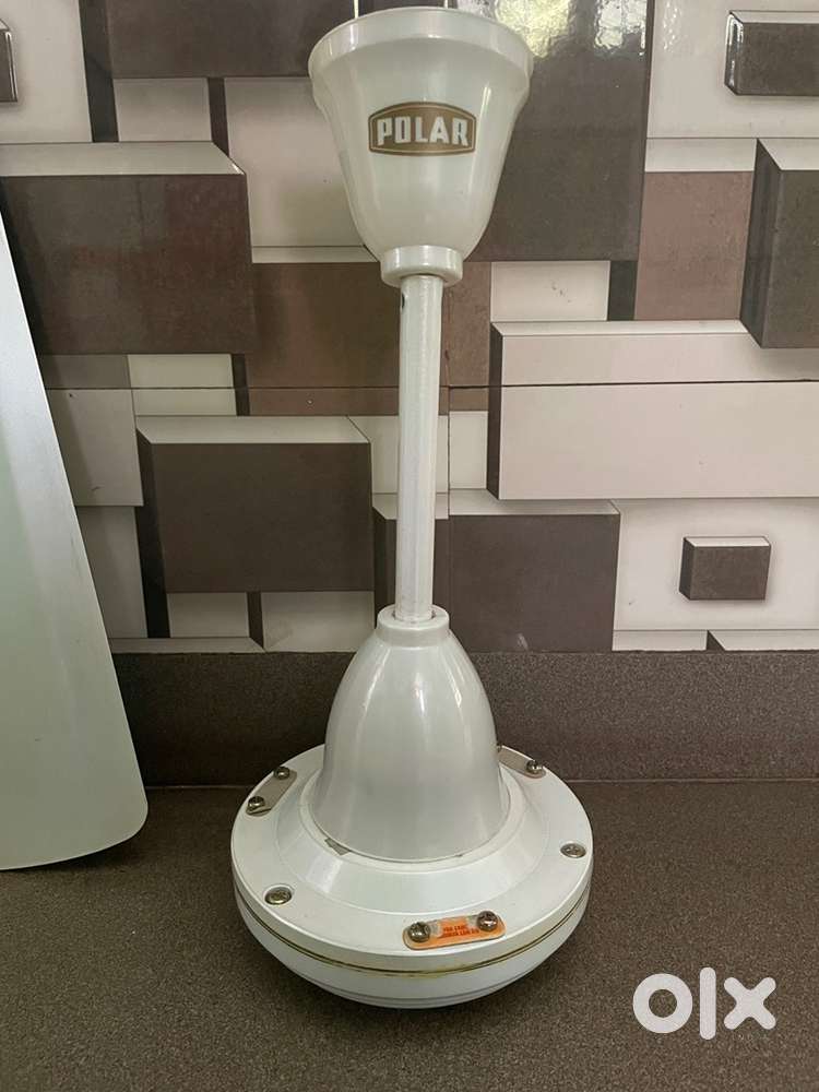 Polar ceiling fan