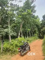 50 Cent Rubber Plot for Sale – High Yield, Prime Location!