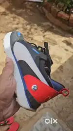 Puma bmw shoes brand new