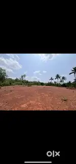 Land for sale 25cents