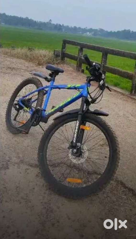 STR1 26 BLUE 26 T (inch) Mountain/Hardtail Cycle (21 Gear, Blue,