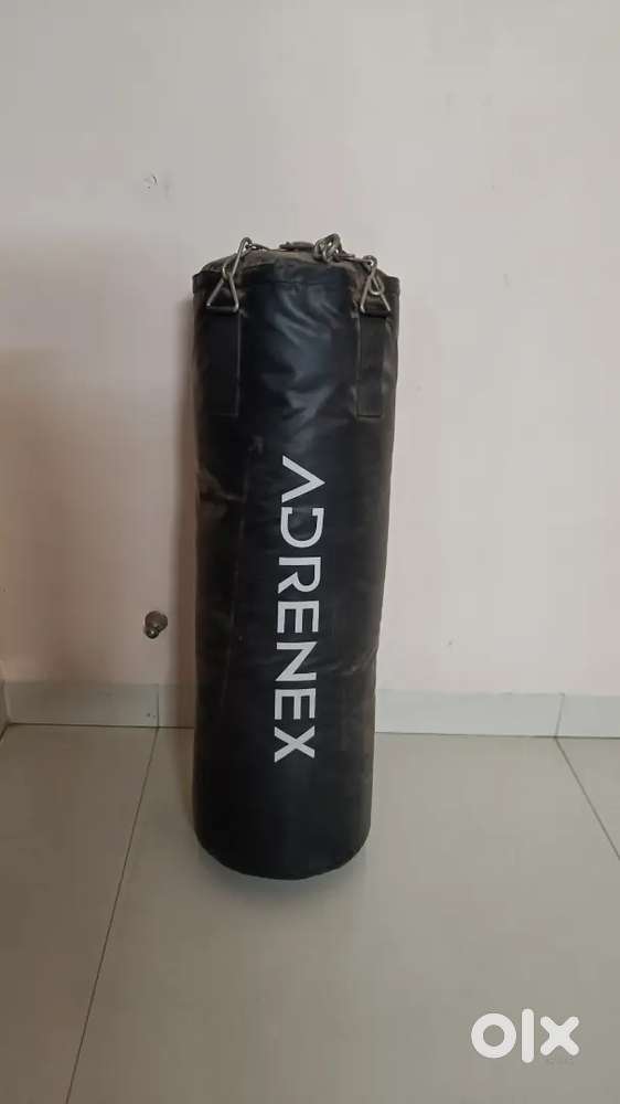 Boxing / punching bag