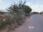 Santhankulam - Tirunelveli Road Nedungkulam
