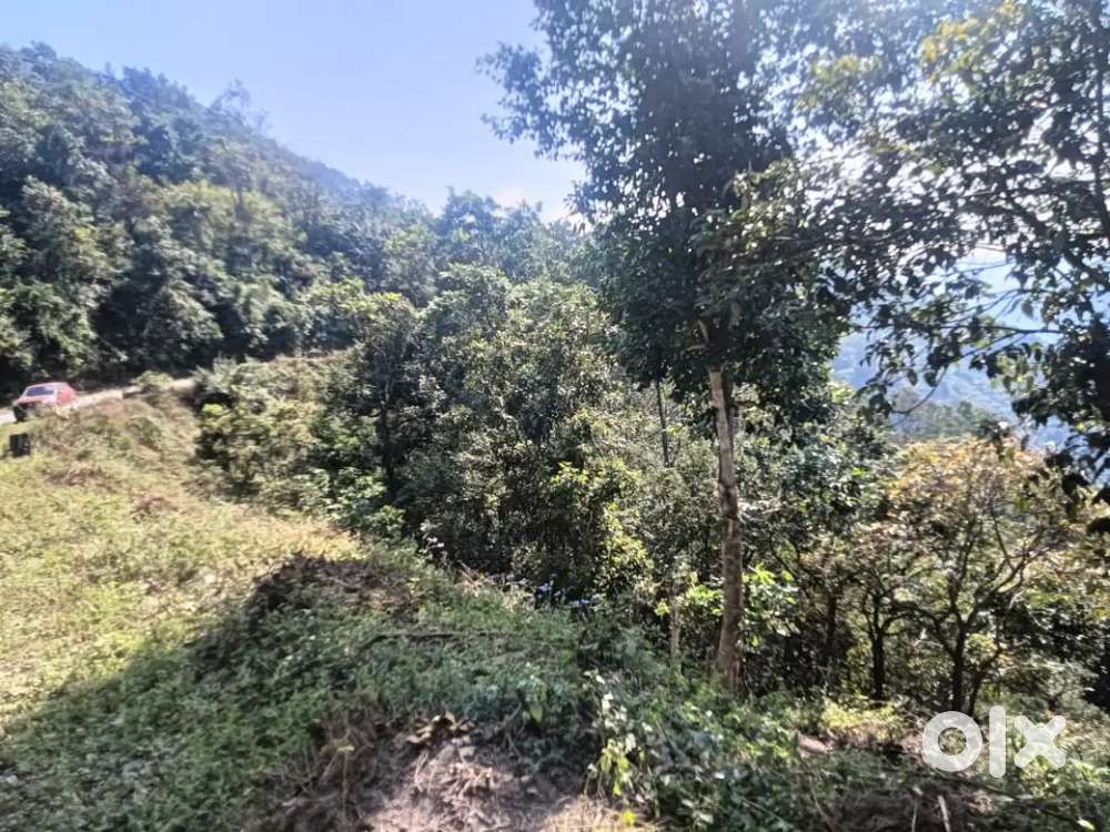 Land for sale -Mohanchatti rishikesh