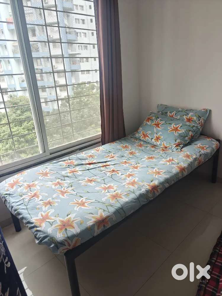 Single Cot