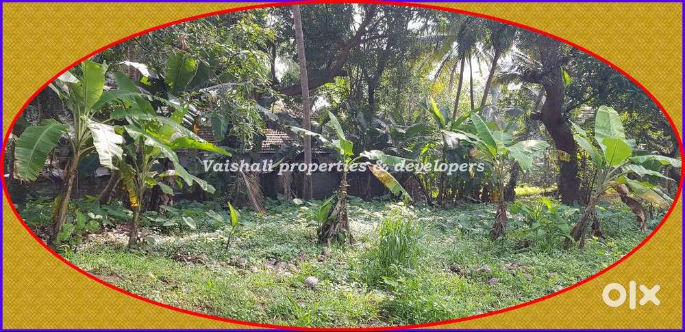 15 cents Plot @ 11 lacs per cent near Kuthiravattom