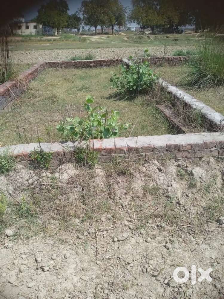 Jamin apna khud ka hai maa ke naam se hai