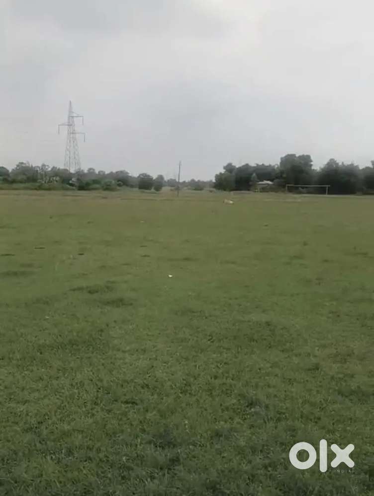 Land For Sale in Kaziranga perfect for resort