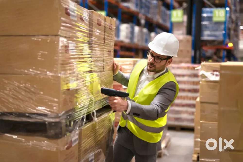 Boys और Girls की पैकिंग //स्कैनिंग // हेल्पर में काम के लिए जरूरत है!