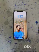 12 pro max