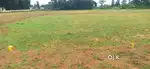 Good plot both sides 40 feet road near Mr nagaram  govt school beside