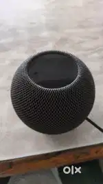 Apple homepod Mini