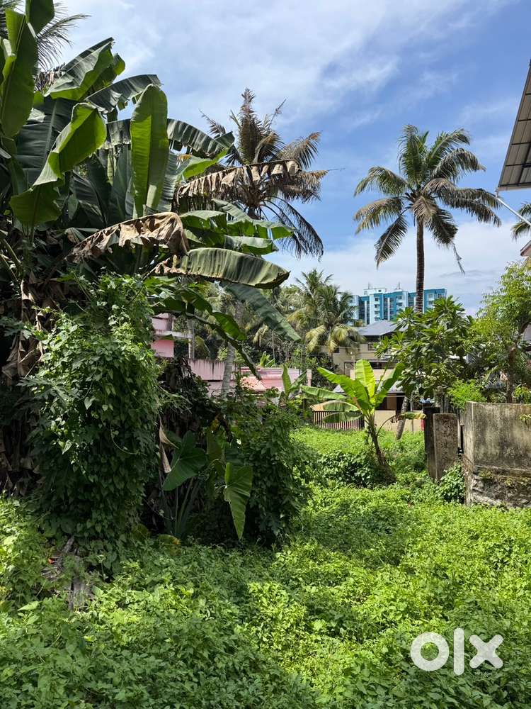 FOR SALE 5.5 RESIDENTIAL PLOT IN ANAYARA NREA KIMS TRIVANDRUM