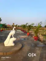 Freehold plot