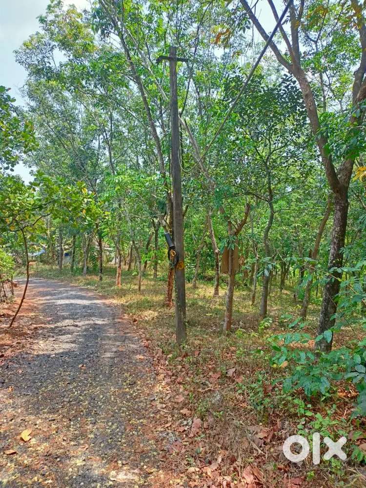 House plot for sale 92cent