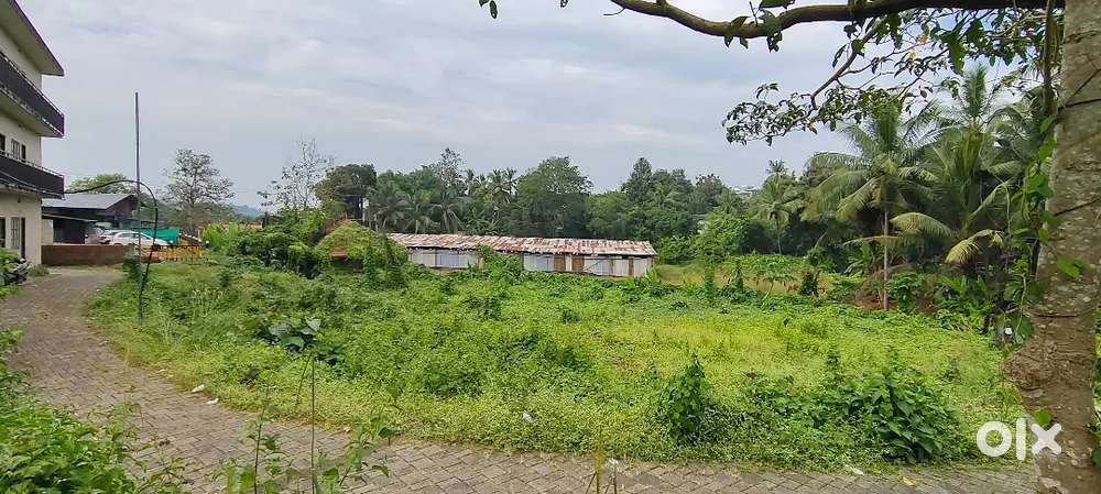 36 cent land cheravakku thaliparamba