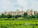 1bhk for Sale