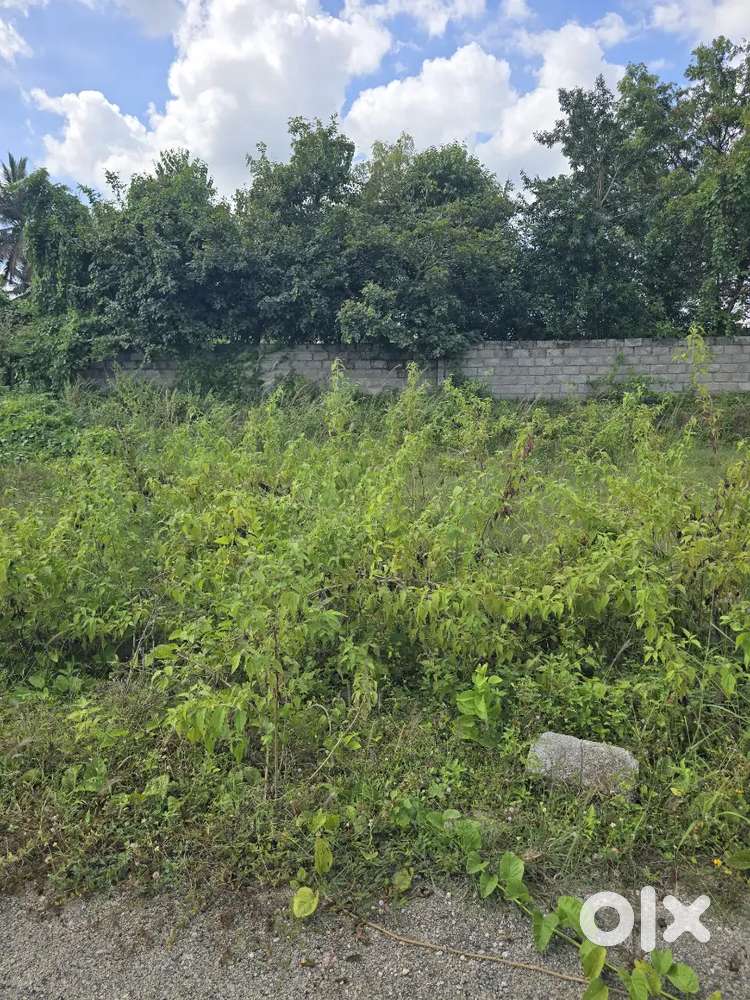 Plot for sale