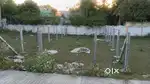 Land for sale in Guduvanchery
