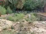 Land for Sale inAshiyana