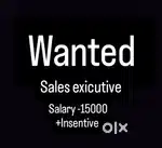 Priority experience people..salary +petrol allowance