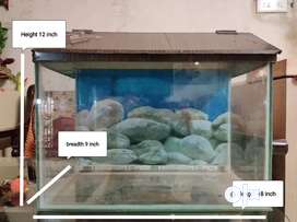 Fish tank + Aquarium Filter + Aquarium Air pump + adaptor charger