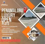 Kankipadu and ramavarappadu mega gated community Royal infinia