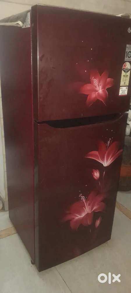 2 years old double door frize