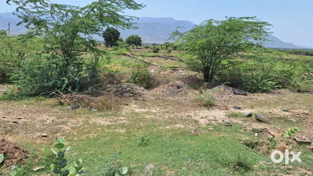 सरगा माता मंदिर के सामने