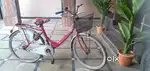 Hero lady cycle